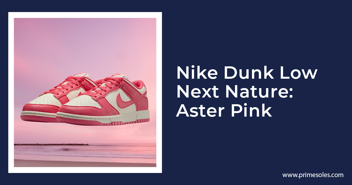 Nike Dunk Low Next Nature