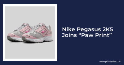 Nike Pegasus 2K5 paw print